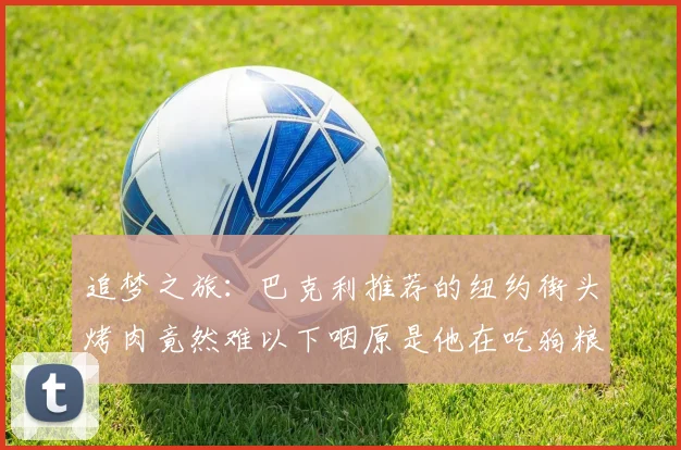 追梦之旅：巴克利推荐的纽约街头烤肉竟然难以下咽原是他在吃狗粮
